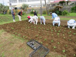 清風園の屋外作業の生活