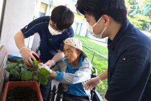 苗を植える利用者様